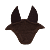 BRUIN